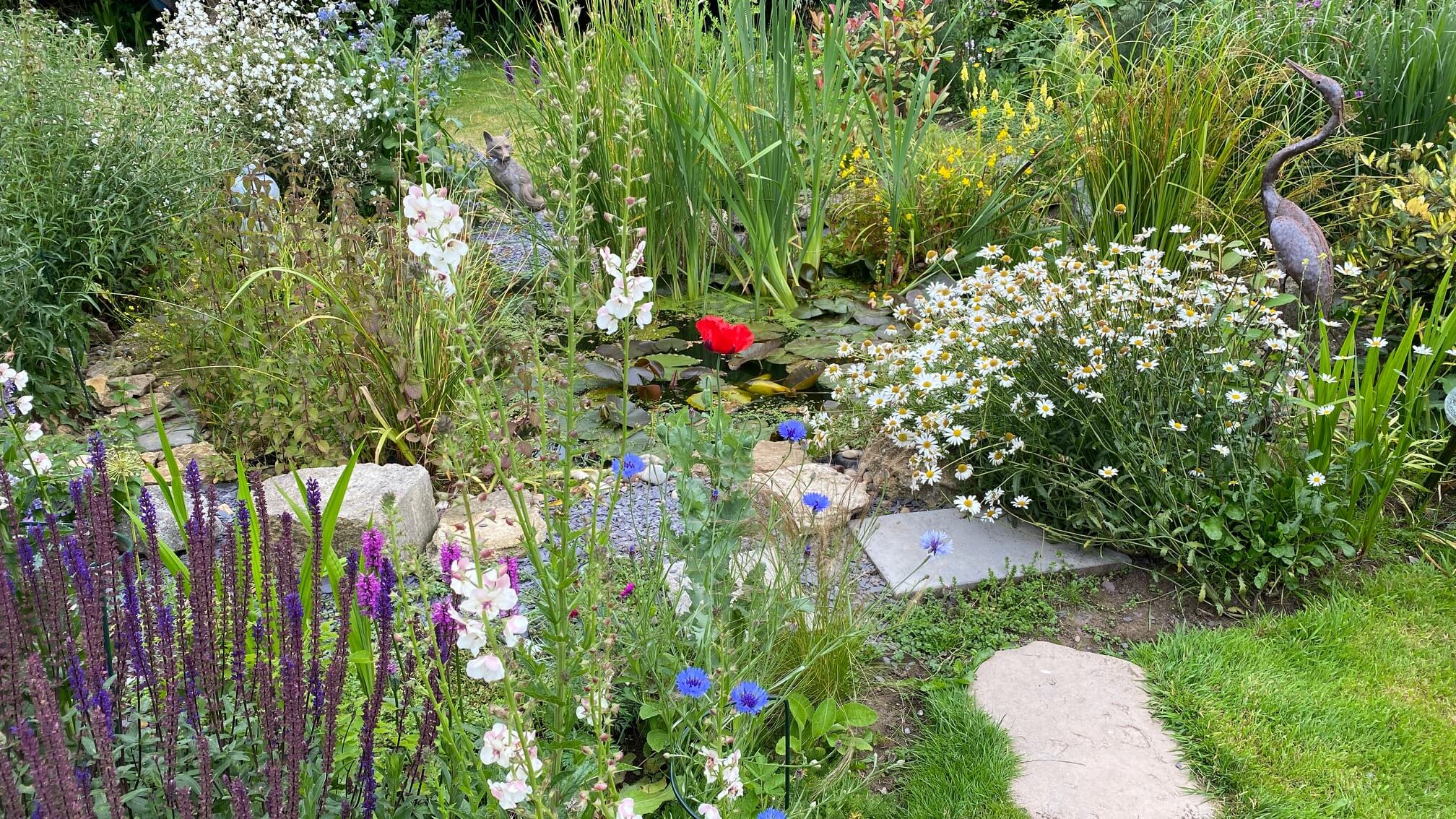 July Gardening - What To Do in the Garden in July july-gardening-wildlife-pond
