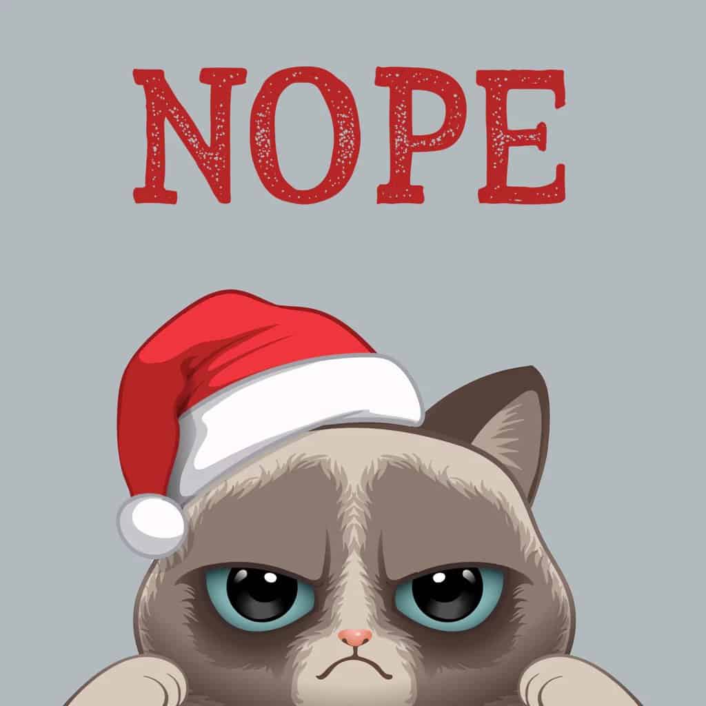 Close To The Bone 1448 Rude Funny Christmas Card – Sending You Positive Vibes – A5 Folded