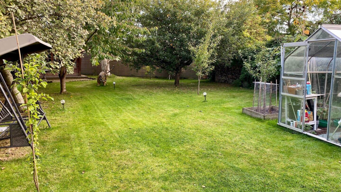 October Gardening - What To Do in the Garden in October October-gardening-orchard