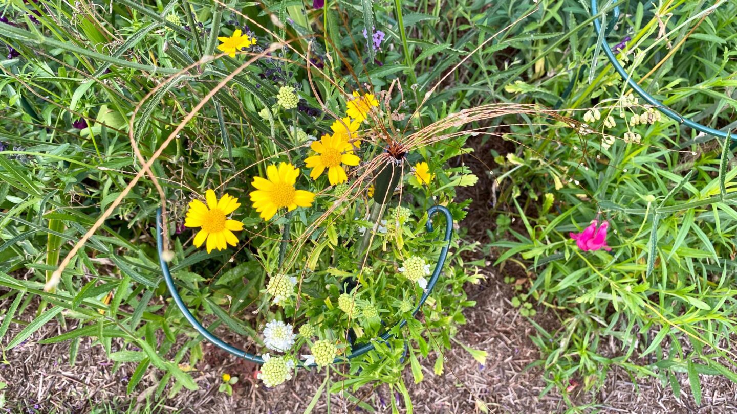 October Gardening - What To Do in the Garden in October October-gardening-wildflowers