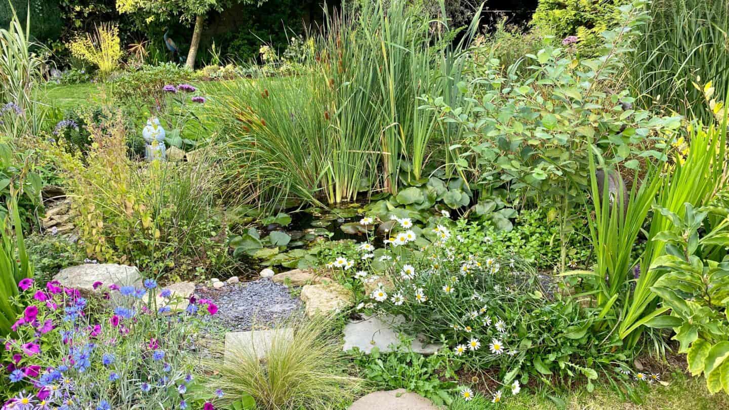 October Gardening - What To Do in the Garden in October October-gardening-wildlife-pond
