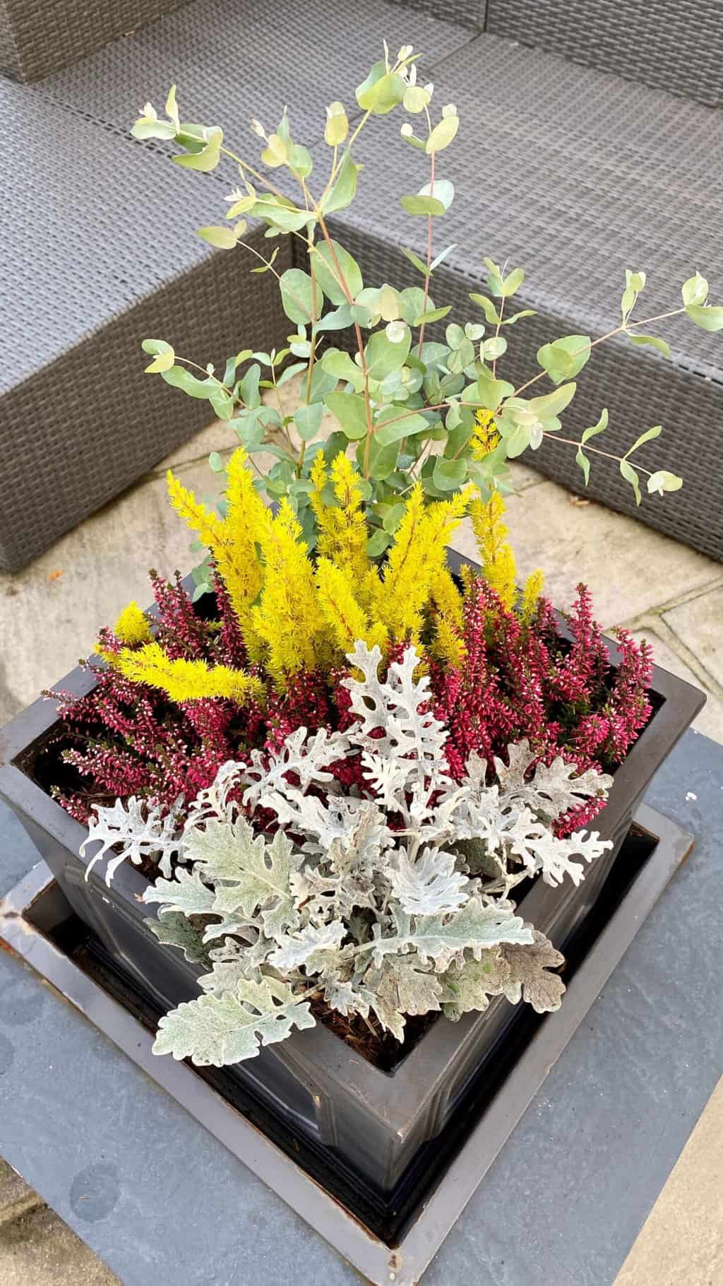 October Gardening - What To Do in the Garden in October October-gardening-winter-pot