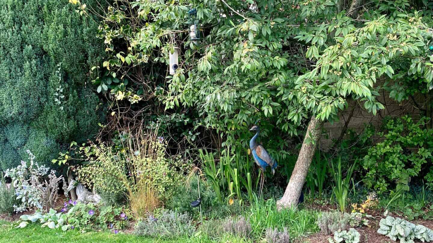 November Gardening - What To Do In The Garden In November November-gardening-bird-feeders