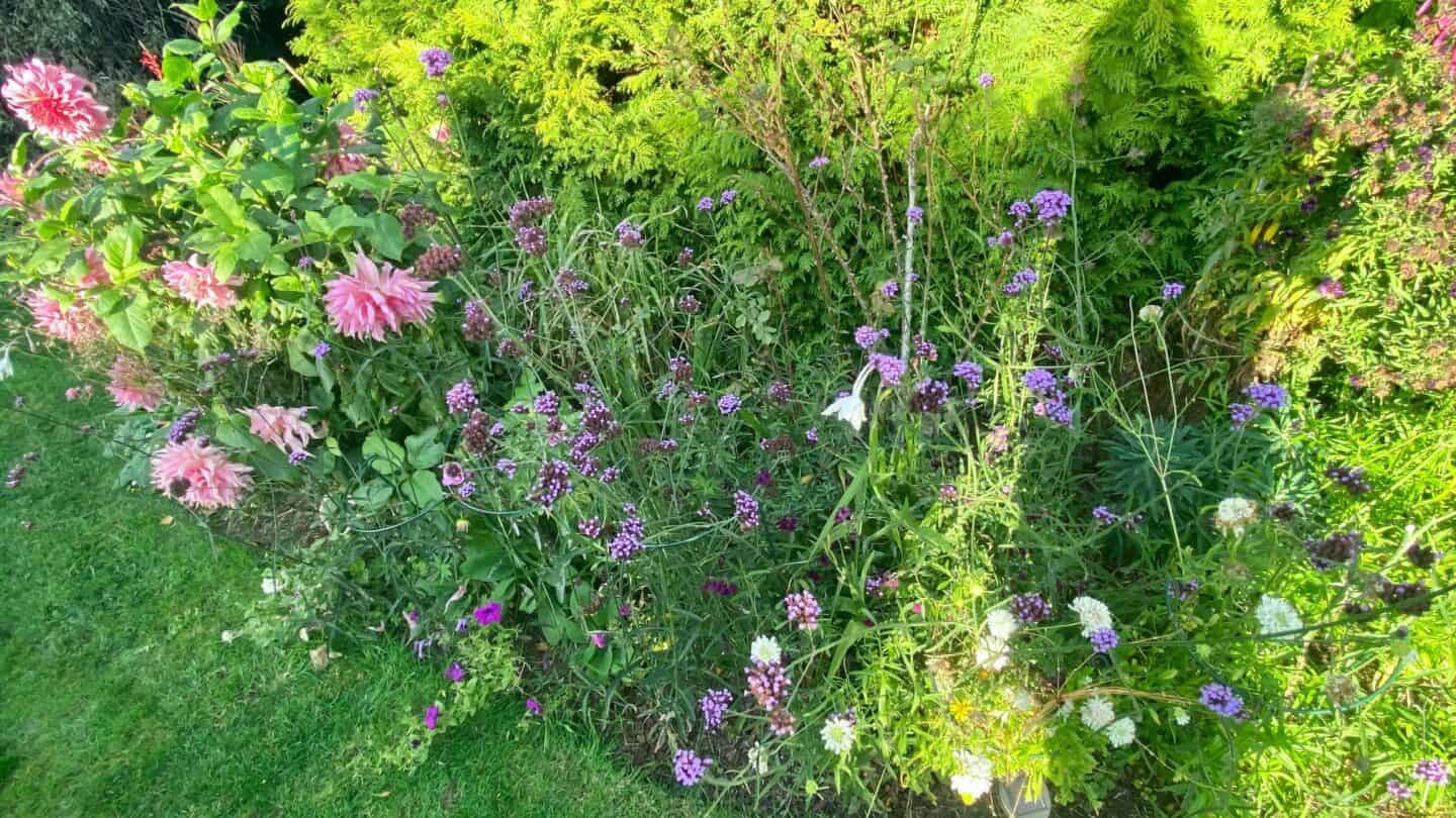November Gardening - What To Do In The Garden In November November-gardening-herbaceous-border