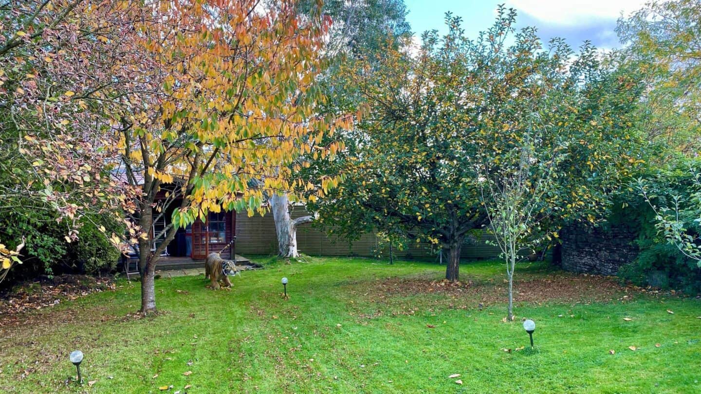 November Gardening - What To Do In The Garden In November November-gardening-orchard