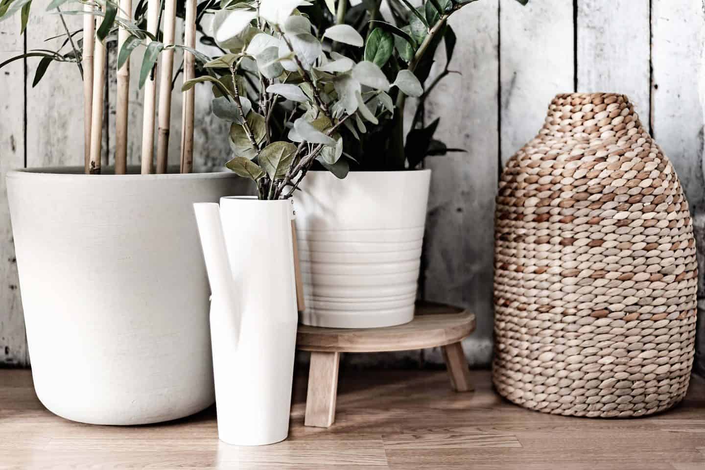 Helping The Environment And Saving Money At The Same Time: Where To Start * helping-the-environment-and-saving-money-plant-pots