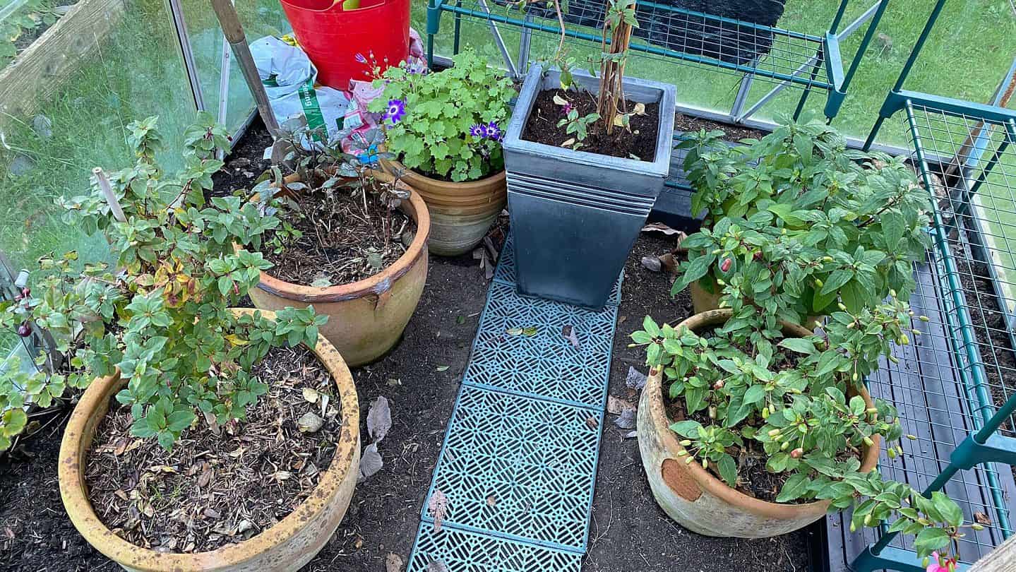 December Gardening - What To Do In The Garden In December december-gardening-greenhouse