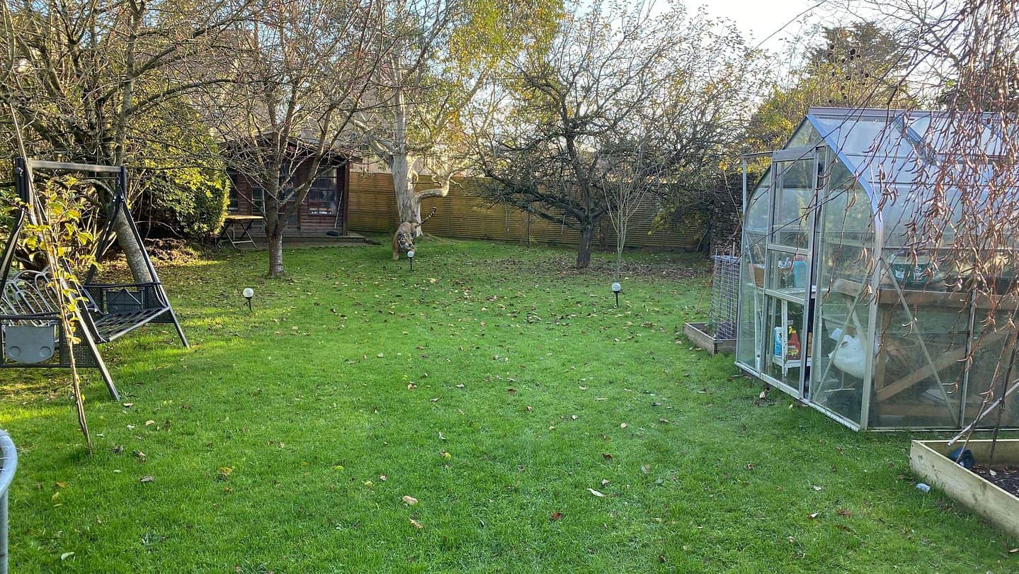 December Gardening - What To Do In The Garden In December december-gardening-orchard