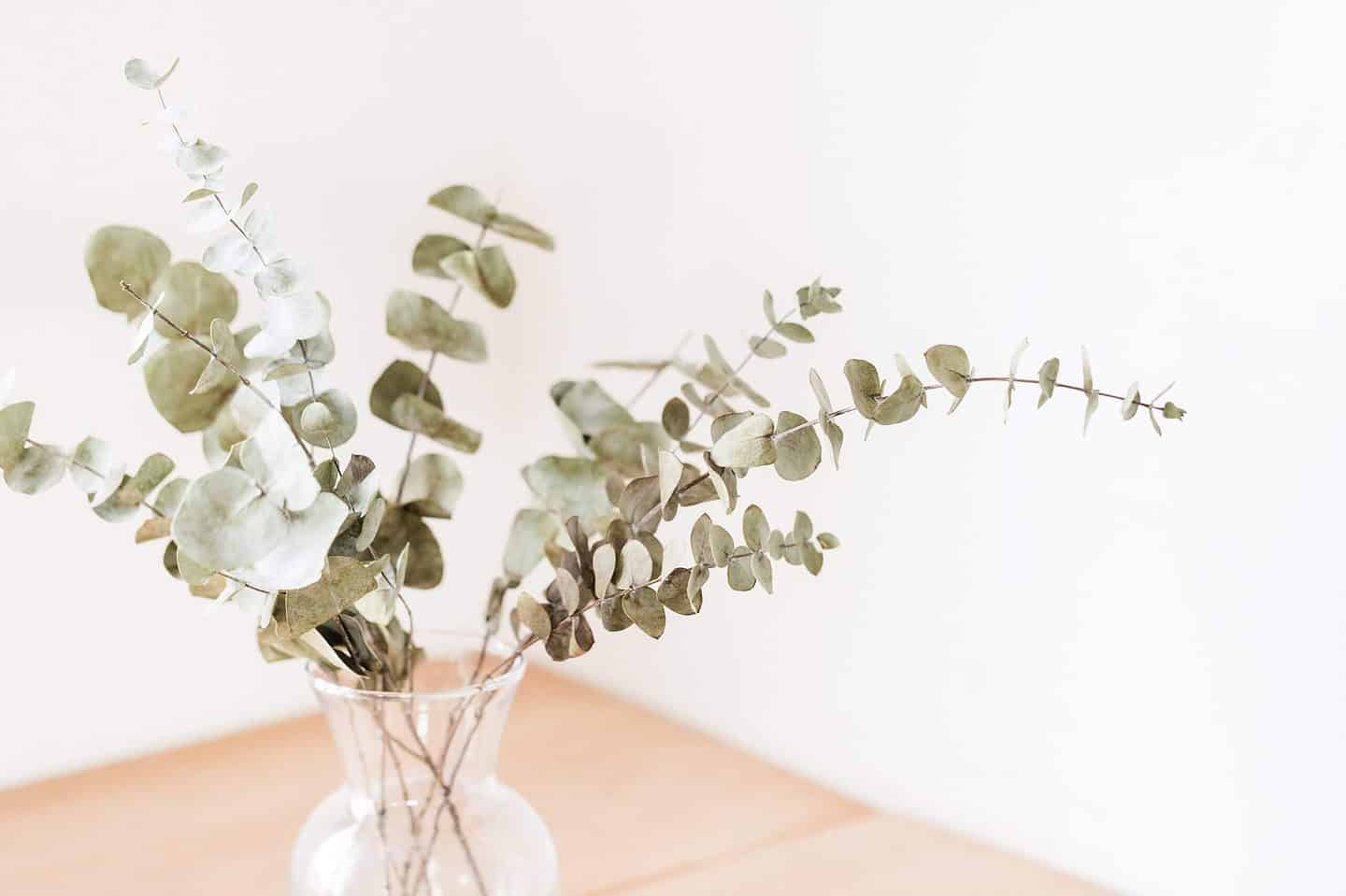 13 Powerful Natural Remedies for Cold and Flu That Actually Work natural-remedies-for-cold-and-flu-eucalyptus