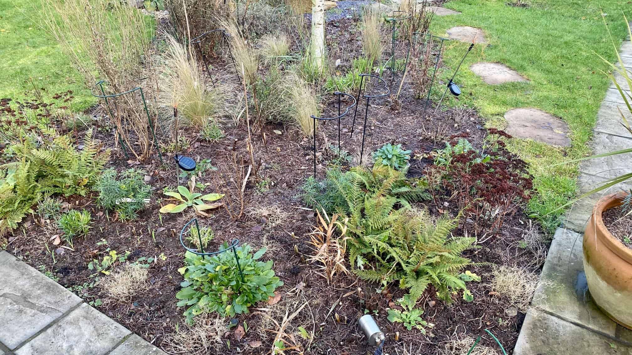 What To Do In The Garden In January garden-in-january-herbaceous-border-01
