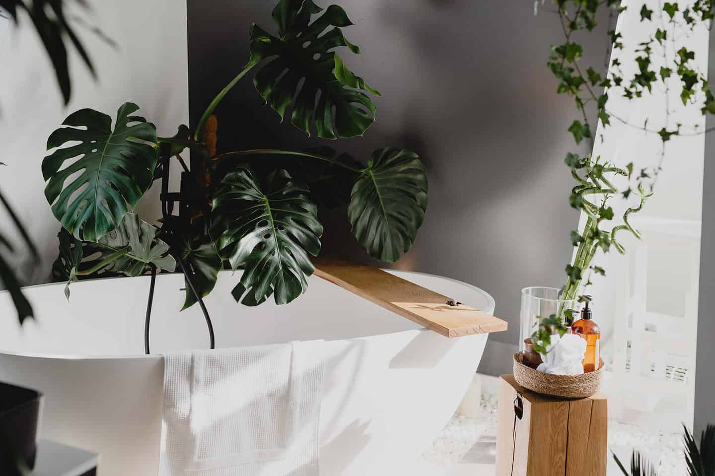 Modernising Your Bathroom On a Budget in 4 Simple Steps * modernising-your-bathroom-plants