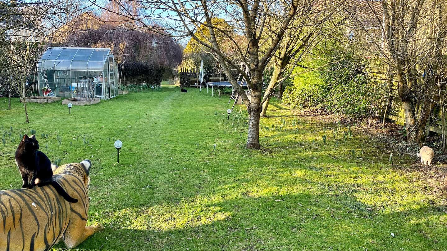 What To Do In The Garden In February garden-in-february-orchard