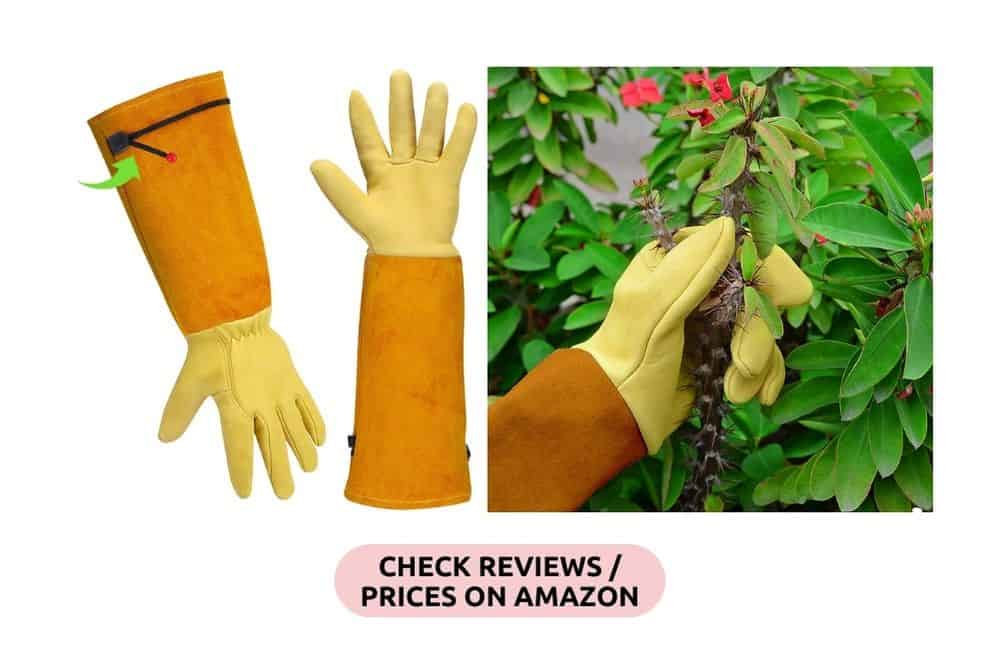 10 Essential Gardening Tools Every New Gardener Should Own * essential-gardening-tools-gloves