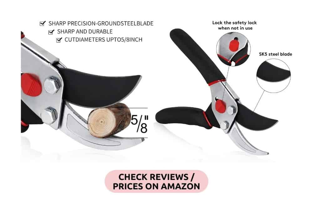 10 Essential Gardening Tools Every New Gardener Should Own * essential-gardening-tools-shears-secateurs