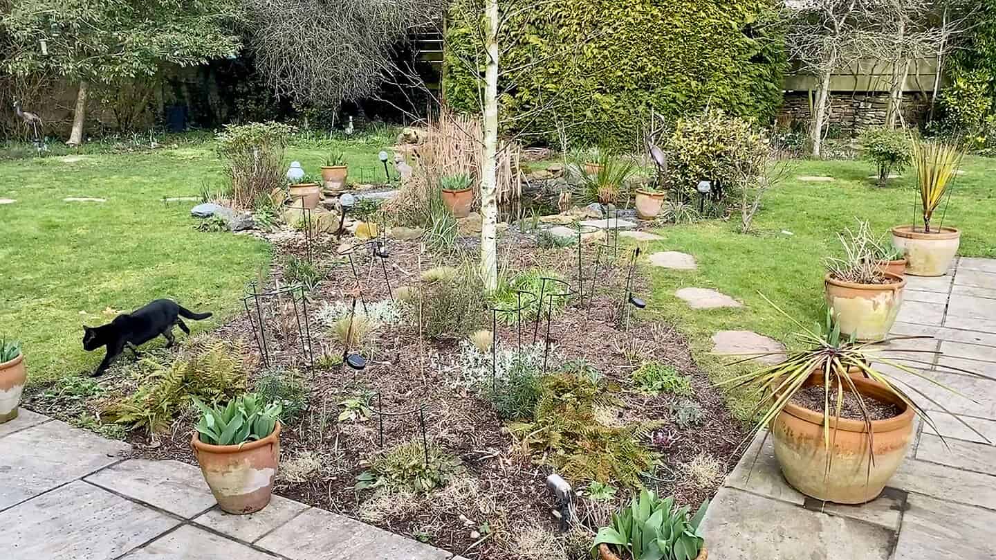 What To Do In The Garden In March garden-in-march-border