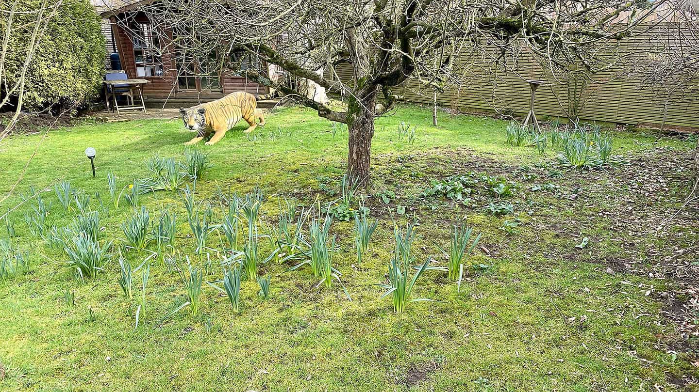 What To Do In The Garden In March garden-in-march-orchard