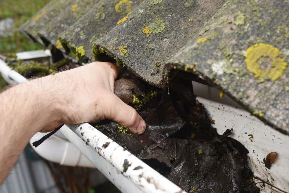 5 Common Roof Problems Homeowners Should Watch Out For * common-roof-problems-blocked-gutter
