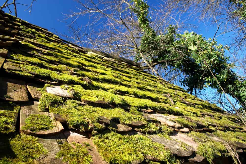 5 Common Roof Problems Homeowners Should Watch Out For * common-roof-problems-moss