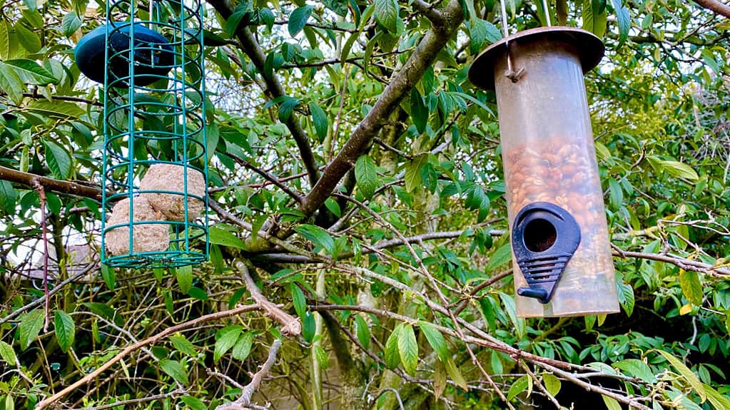 What To Do In The Garden In April garden-in-april-bird-feeders