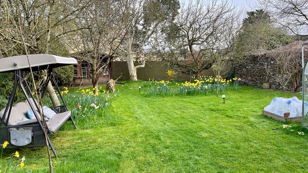 What To Do In The Garden In April garden-in-april-orchard