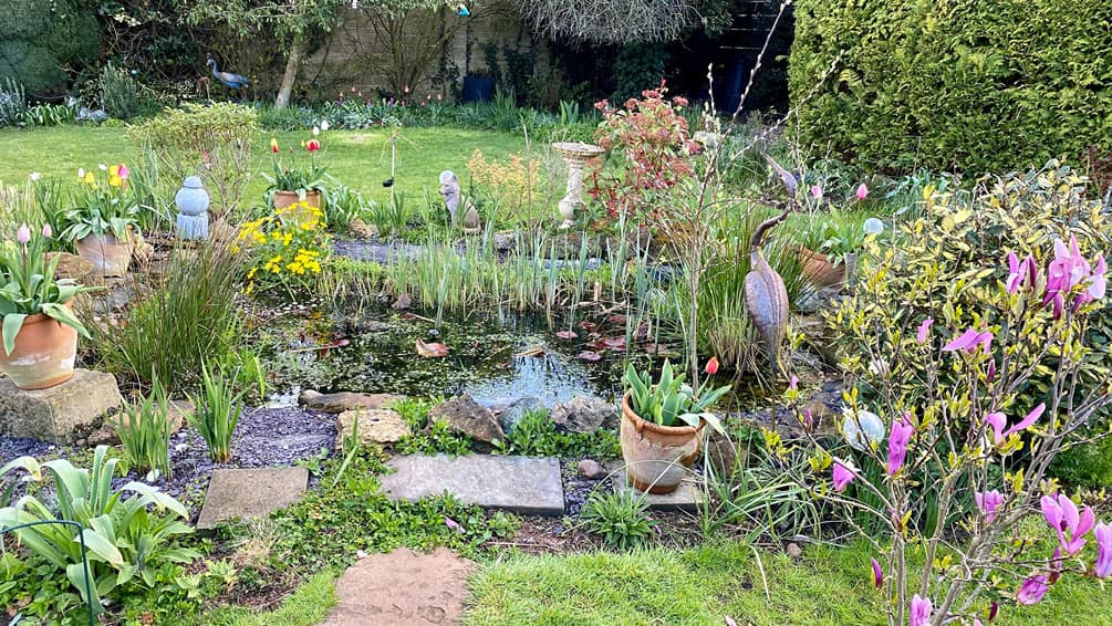 What To Do In The Garden In April garden-in-april-pond