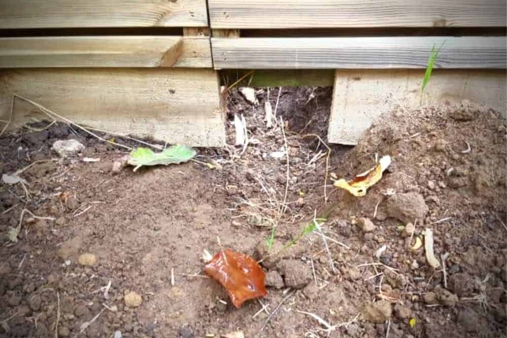 How To Make Your Garden More Wildlife Friendly - 15 Top Tips * make-your-garden-more-wildlife-friendly-hedgehoghole