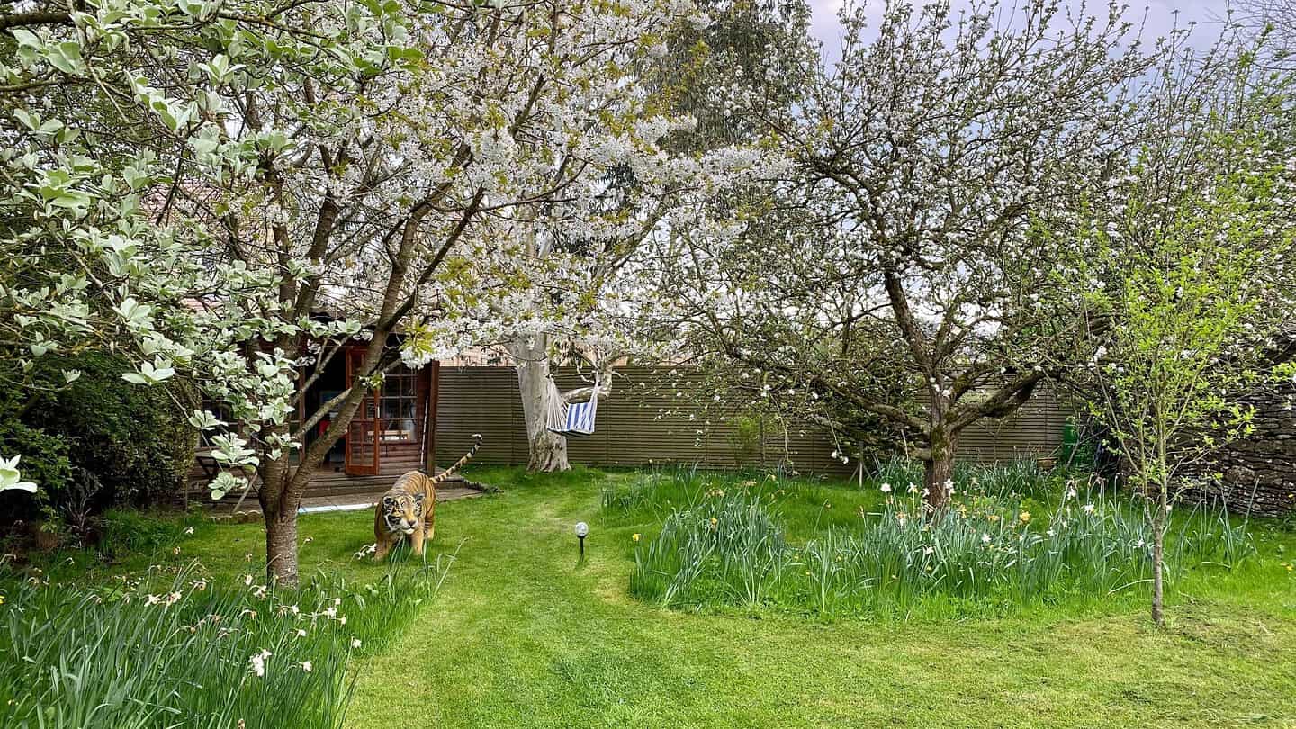 What To Do In The Garden In May garden-in-may-orchard