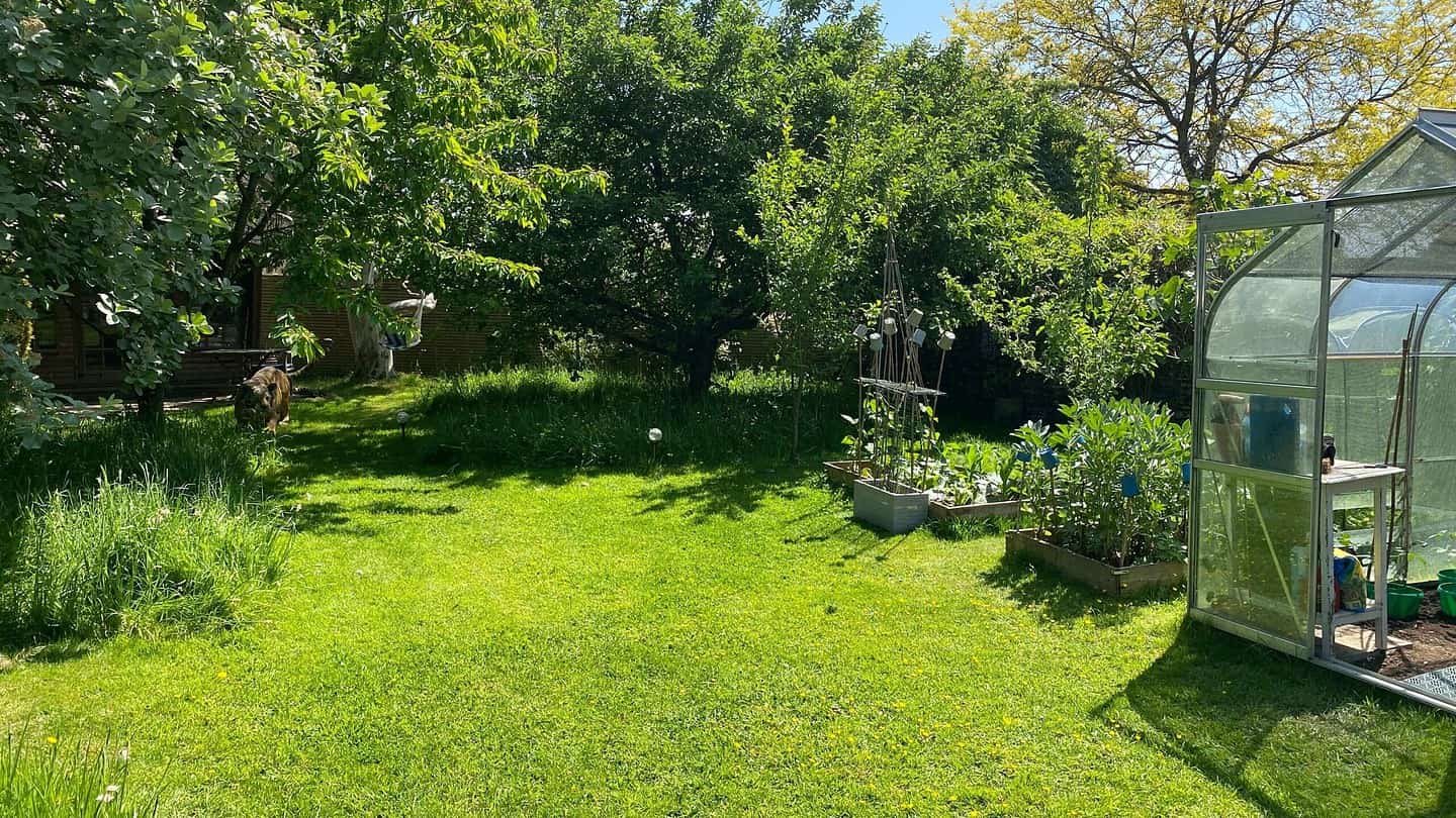 What To Do In The Garden In June garden-in-june-orchard-sun