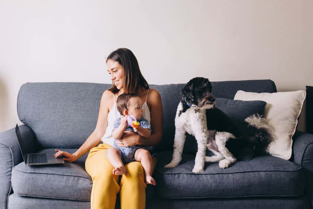 How to Get Your Home and Family Ready for Your New Dog * how-to-get-your-home-and-family-ready-for-your-new-dog-sofa
