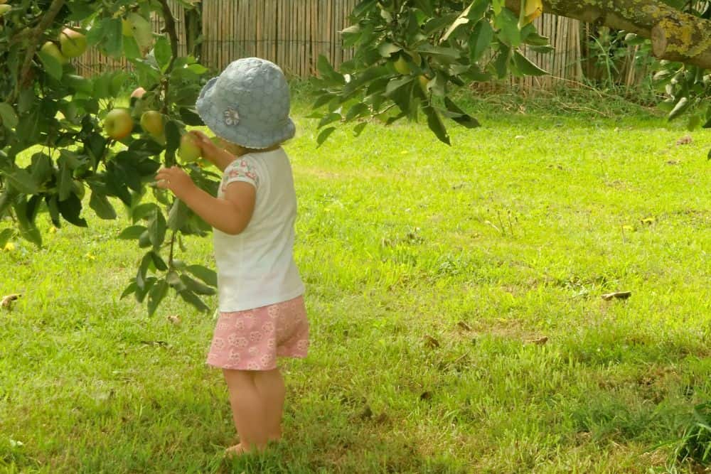 12 Easy and Fun Tips For Gardening With Kids gardening-with-kids-apple-picking