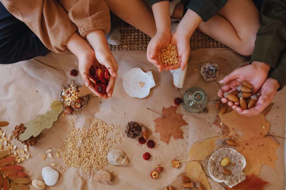 12 Easy and Fun Tips For Gardening With Kids gardening-with-kids-seed-collecting