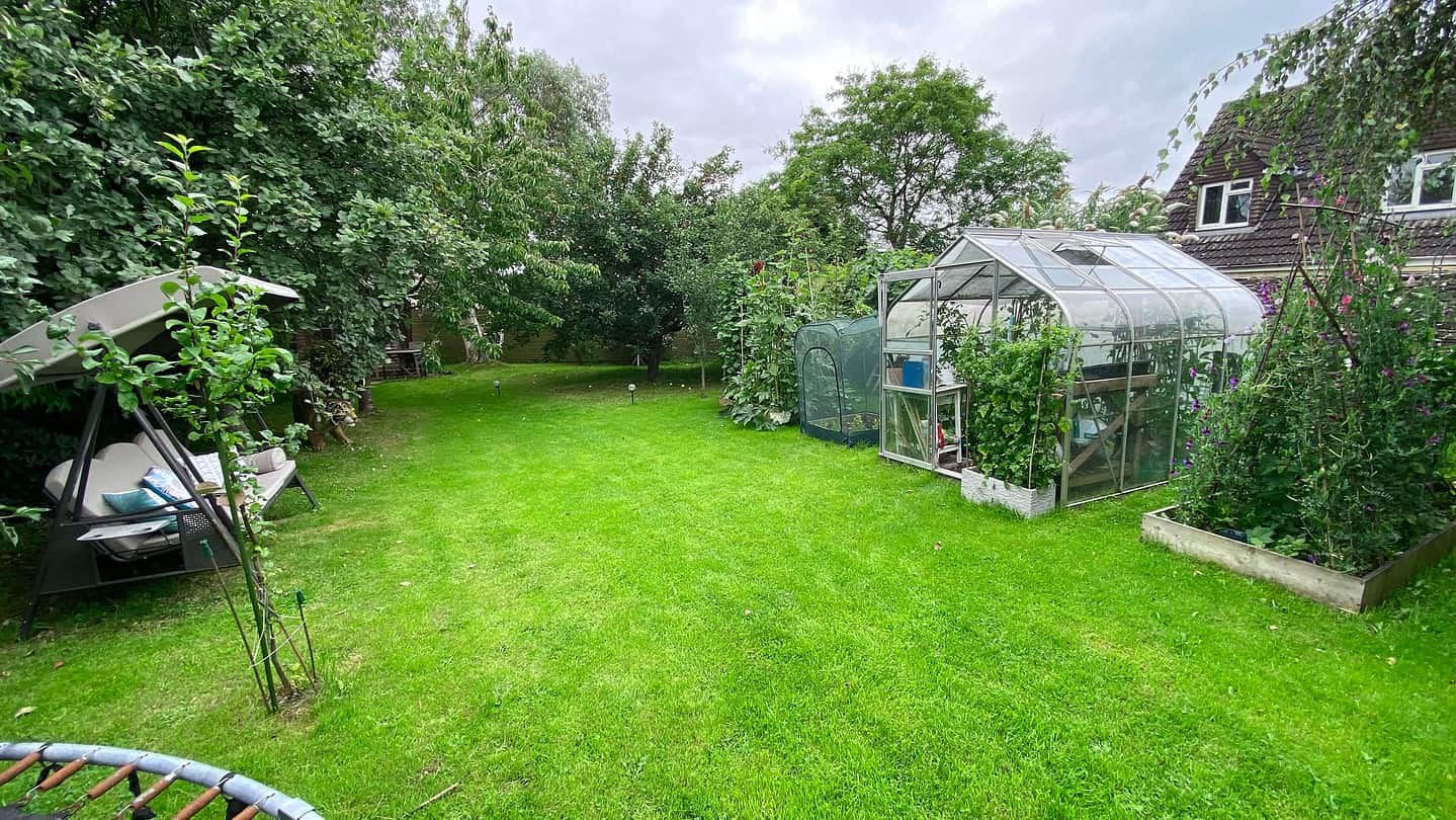 What To Do In The Garden In August garden-in-august-orchard