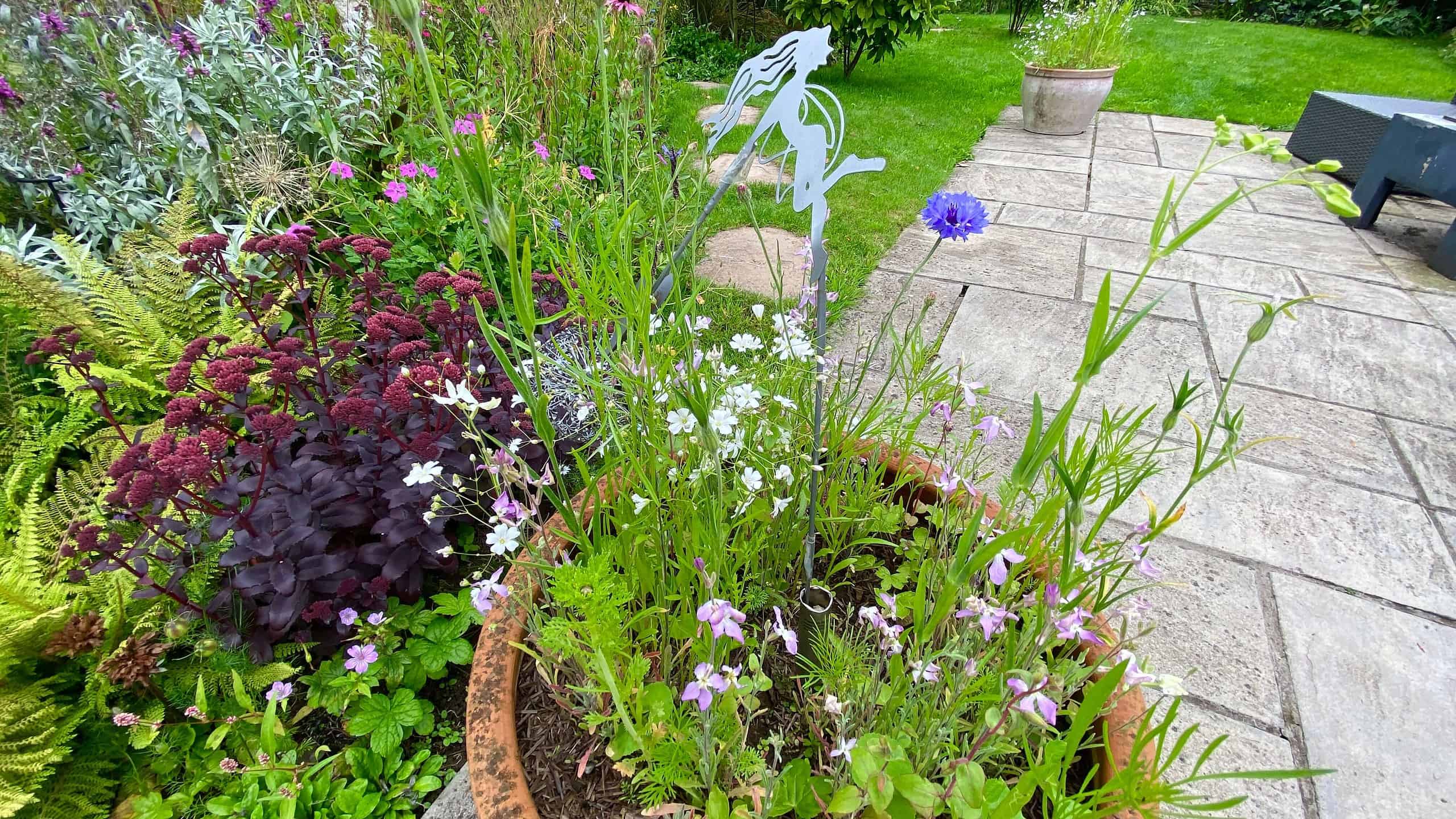 What To Do In The Garden In August garden-in-august-wildflowers-pot
