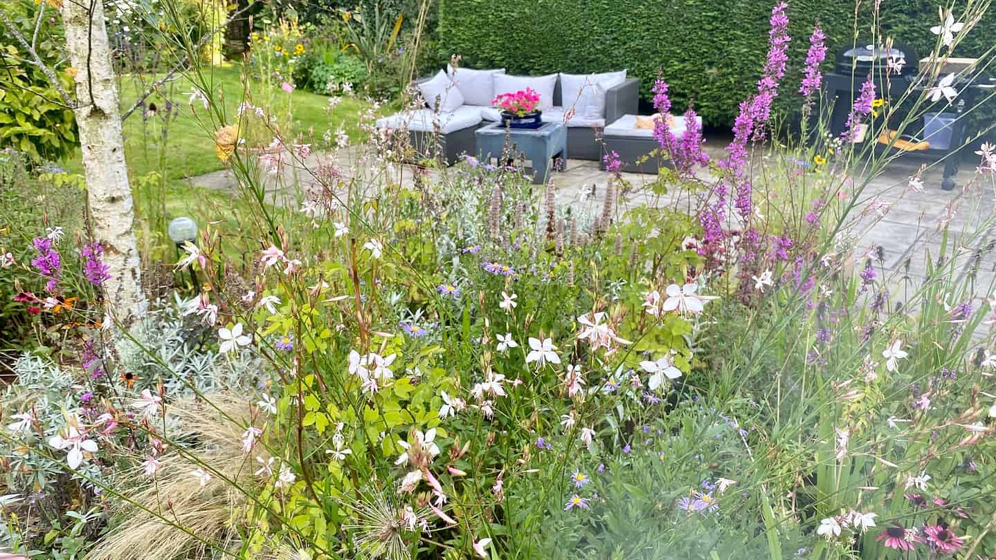 What To Do In The Garden In September garden-in-september-border-03