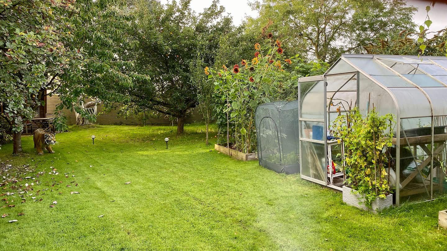 What To Do In The Garden In September garden-in-september-orchard