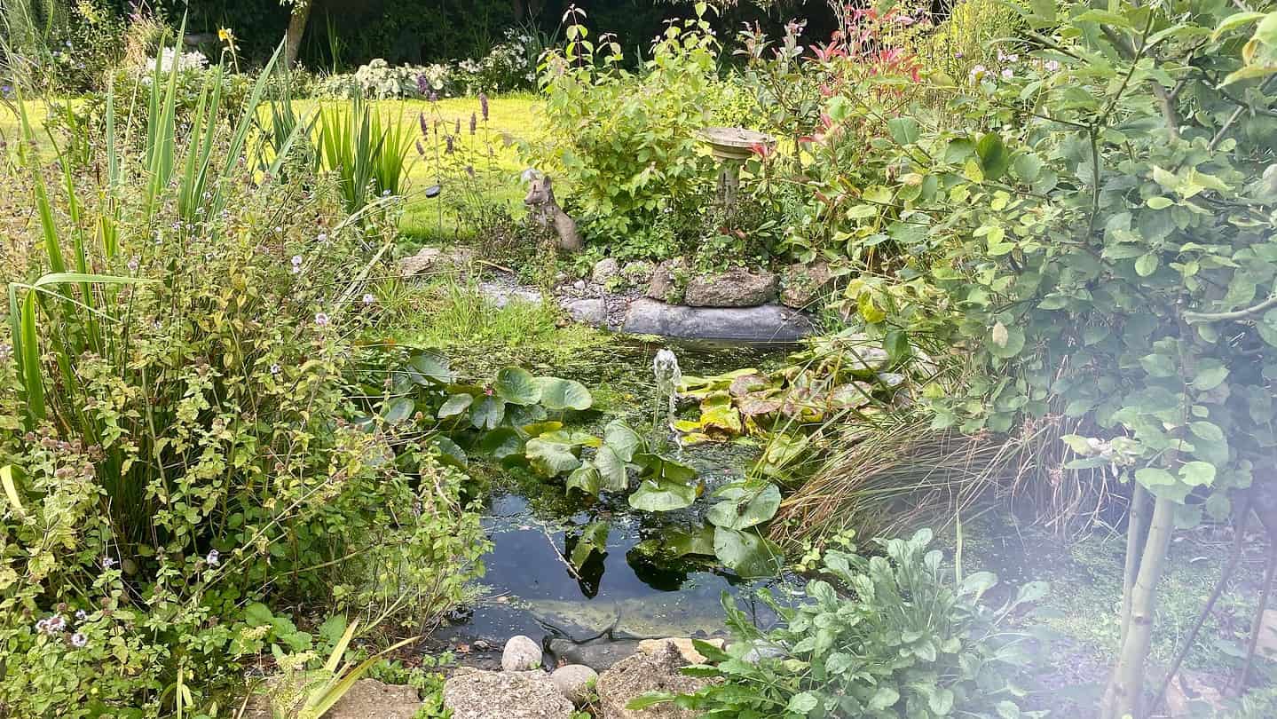 What To Do In The Garden In September garden-in-september-pond