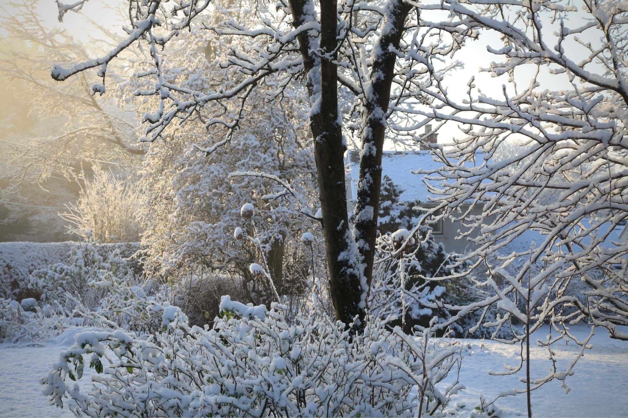 10 Simple Tips for Preparing Your Garden for Winter preparing-your-garden-for-winter
