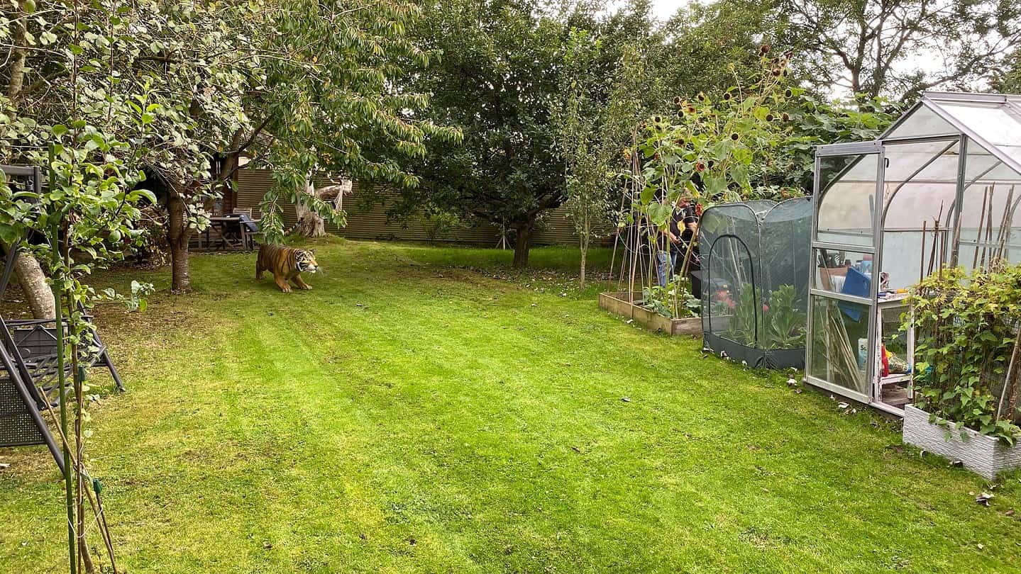 What To Do In The Garden In October garden-in-october-orchard