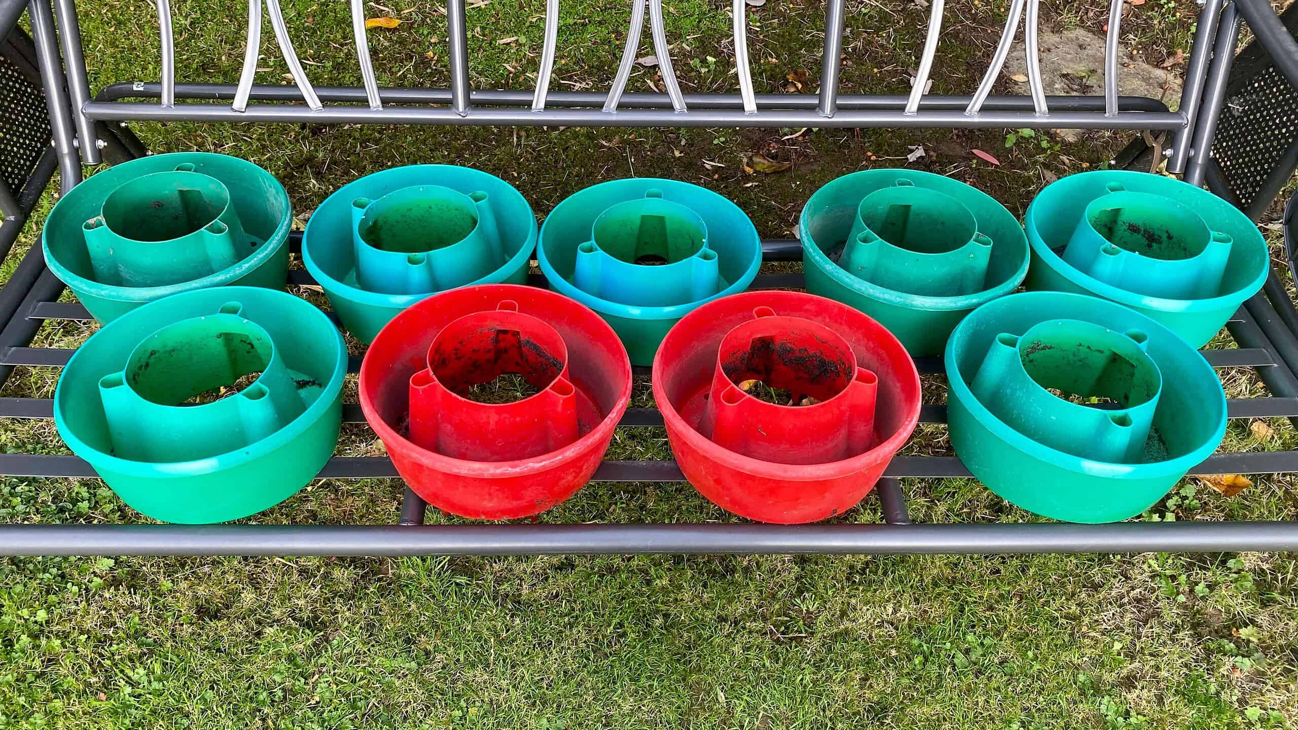 What To Do In The Garden In October garden-in-october-plant-halos