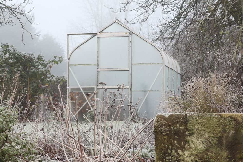 10 Simple Tips for Preparing Your Garden for Winter preparing-your-garden-for-winter-greenhouse