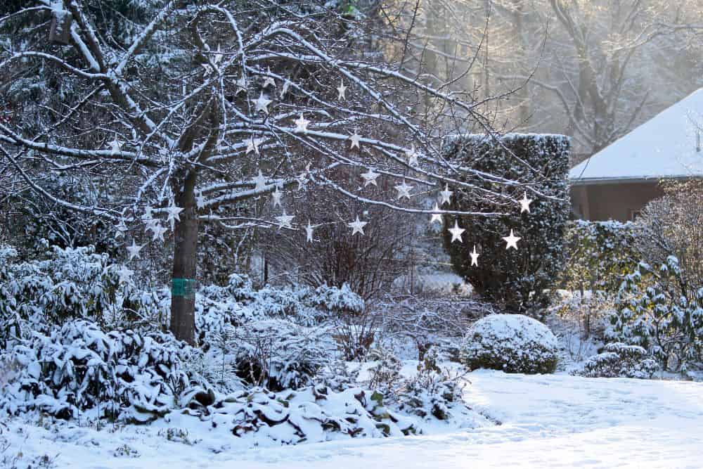 10 Simple Tips for Preparing Your Garden for Winter preparing-your-garden-for-winter-snow