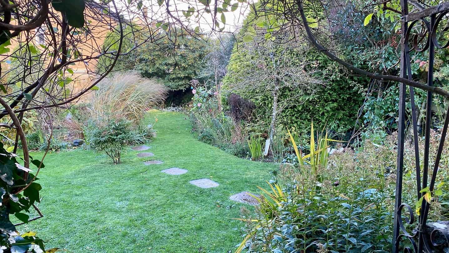 What To Do In The Garden In November garden-in-november-garden-view