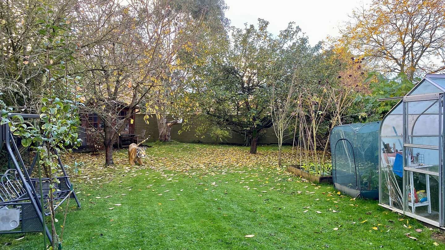What To Do In The Garden In November garden-in-november-orchard-leaves