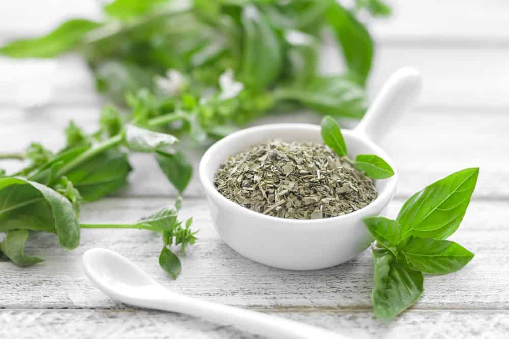 Kitchen Scrap Gardening – A Beginner’s Guide to Gardening from Kitchen Scraps kitchen-scrap-gardening-basil