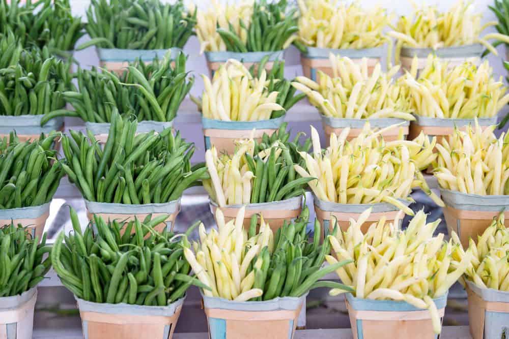 Kitchen Scrap Gardening – A Beginner’s Guide to Gardening from Kitchen Scraps kitchen-scrap-gardening-beans
