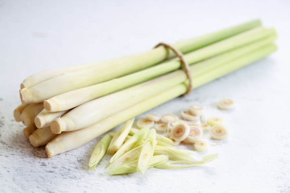 Kitchen Scrap Gardening – A Beginner’s Guide to Gardening from Kitchen Scraps kitchen-scrap-gardening-lemongrass