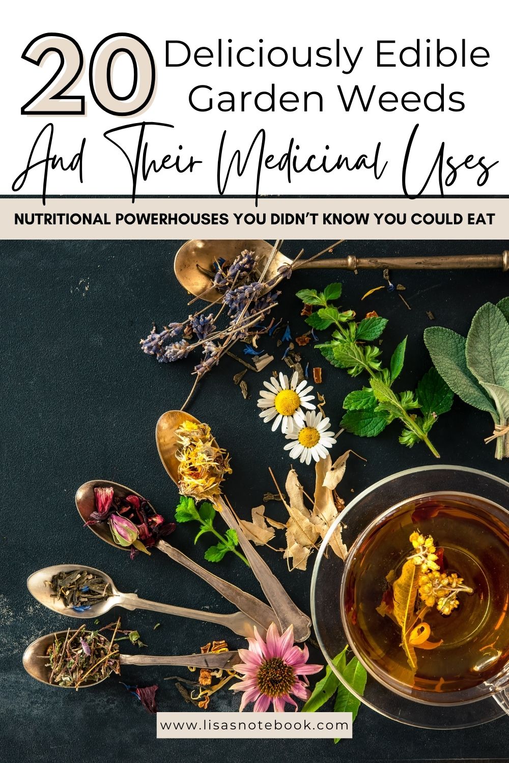 20 Edible Garden Weeds You Didn't Know You Could Eat 20-edible-garden-weeds-pinterest