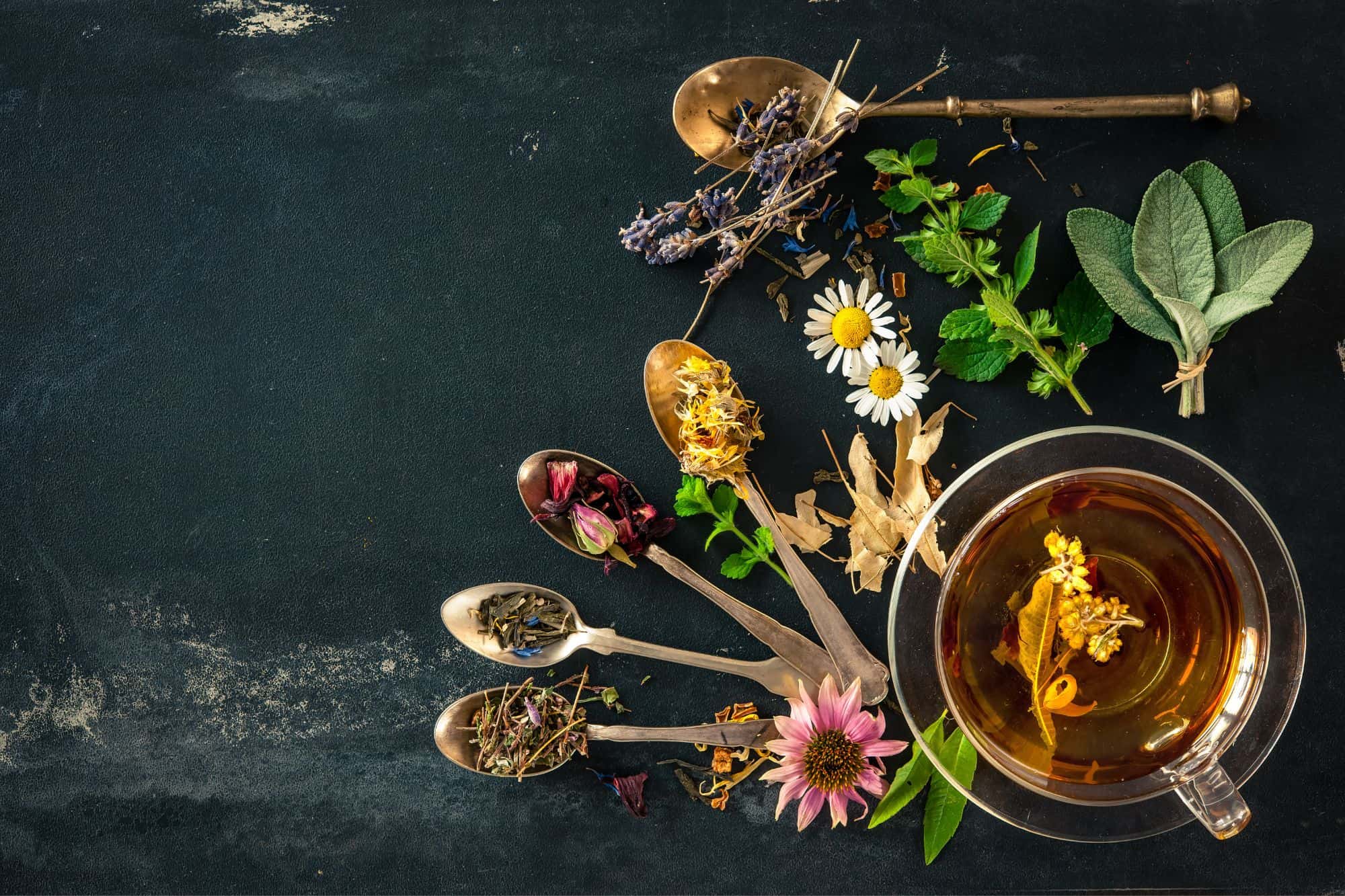 20 Edible Garden Weeds You Didn't Know You Could Eat 20-edible-garden-weeds