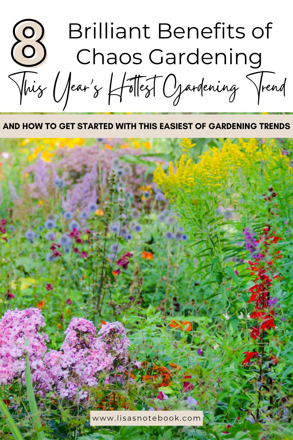 Chaos Gardening – 8 Brilliant Benefits of this Easiest Gardening Trend * 565_chaos-gardening-benefits-wild-garden-pinterest