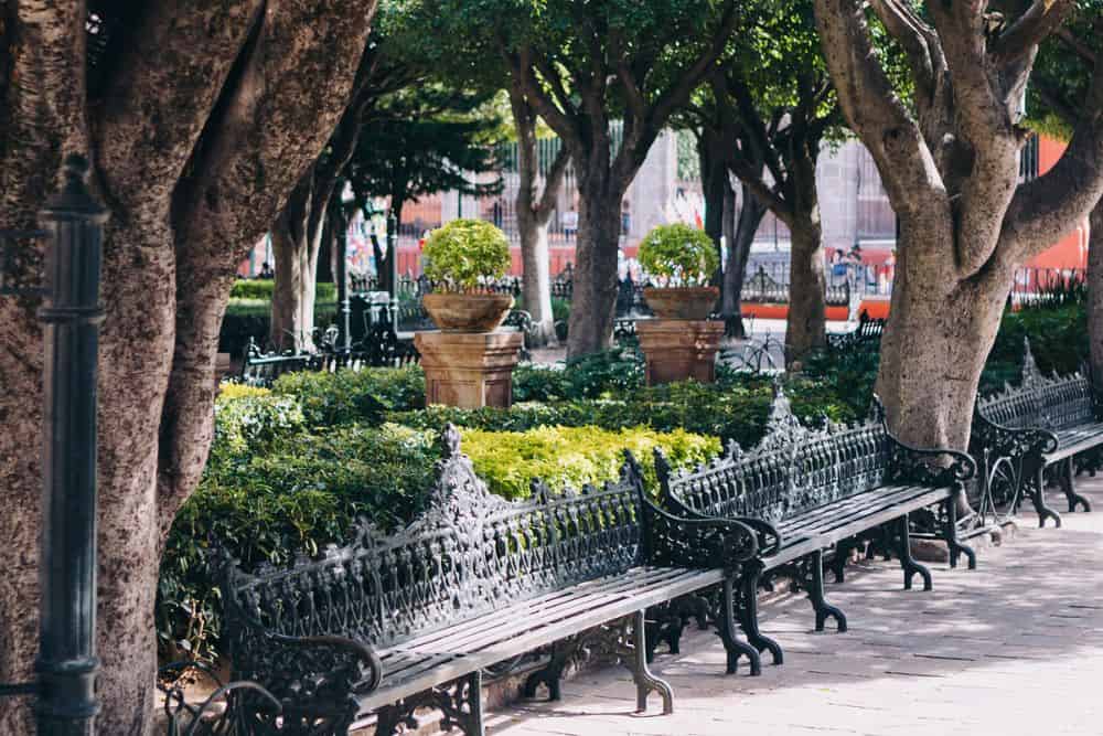 How to Plan Your Family Holiday With Your Older Relatives In Mind * plan-a-family-holiday-with-older-relatives-botanical-park